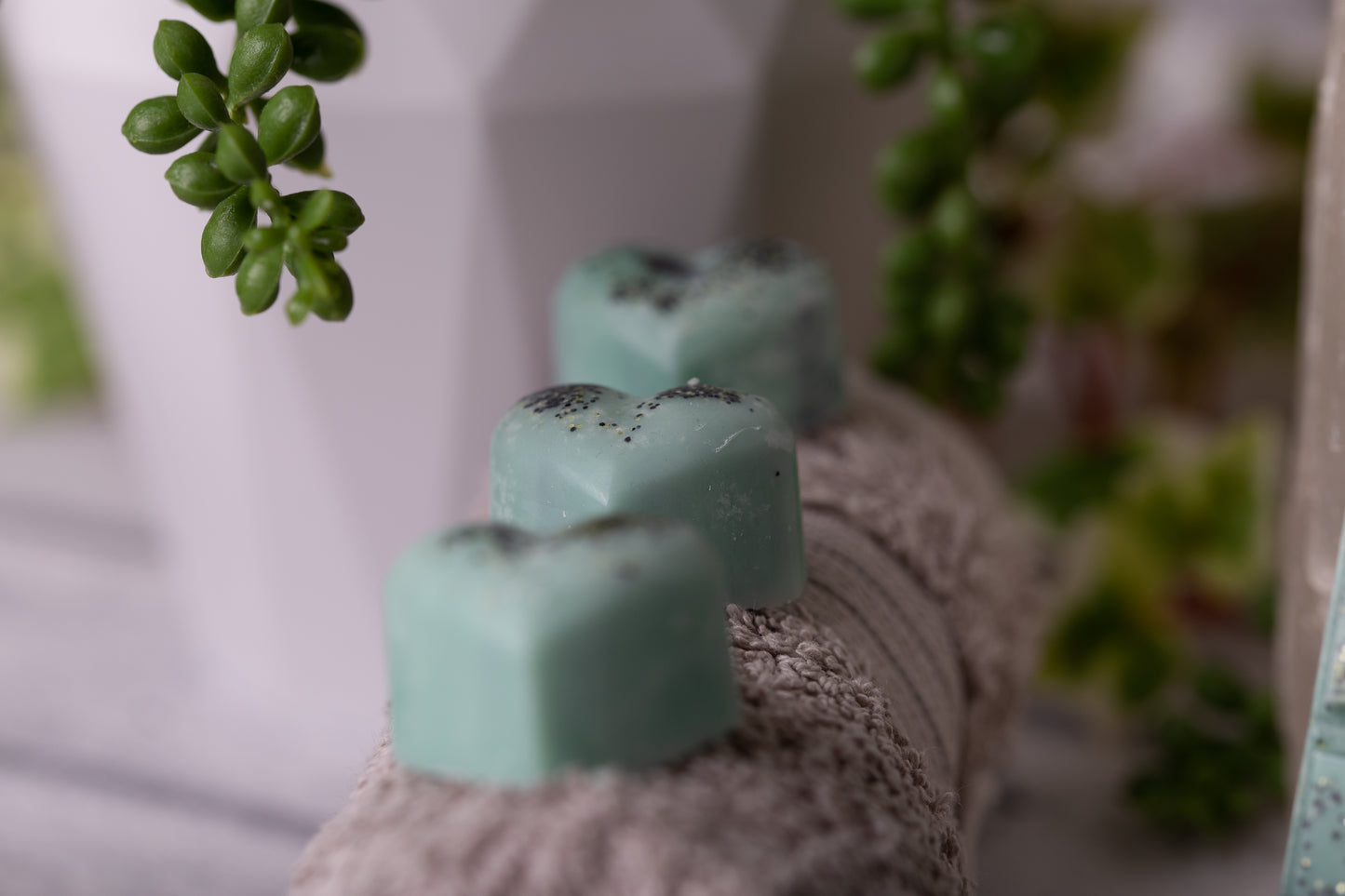 Bamboo Scented Rapeseed and Coconut Wax Melts | Snap Bar | Heart | Mini Heart