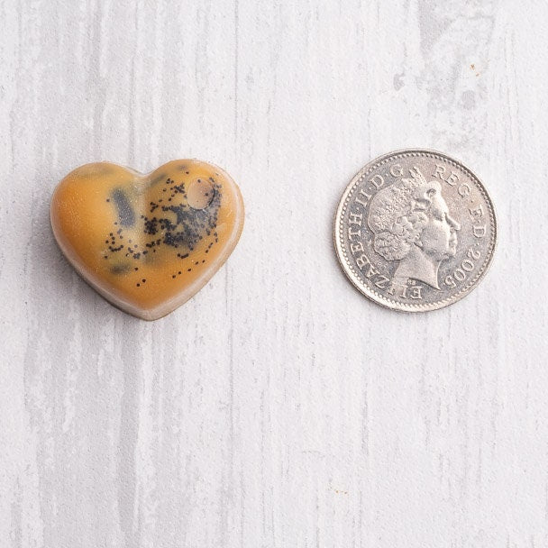 Hazelnut Cappuccino Scented Rapeseed & Coconut Wax Melts | Snap Bar | Heart | Mini Heart